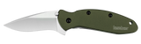 Kershaw Scallion Assisted Opening Knife SKU 1620OL