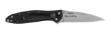 Kershaw Leek Assisted Opening Knife Black SKU 1660SWBLK