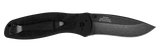 Kershaw Blur Assisted Opening Knife SKU 1670BW