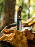 Condor Kinich Fixed Blade 1075 Steel With Leather Sheath