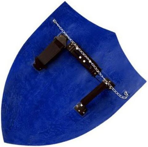 Legend of Zelda Replica Cosplay Hylian Sheild 25