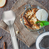 Ice Cream Scoop - Silver Handle