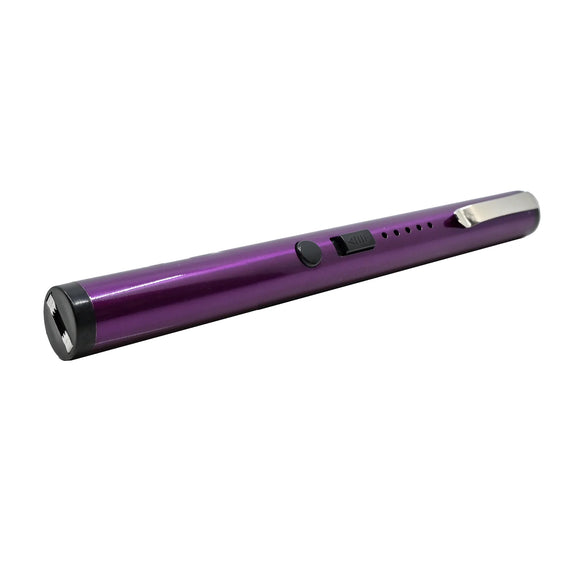 Streetwise Pain Pen Stun Gun Purple SKU SWPEN25PR